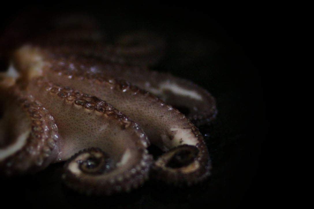 cuba-viaje-liana solis photographer-gastronomia-pulpo