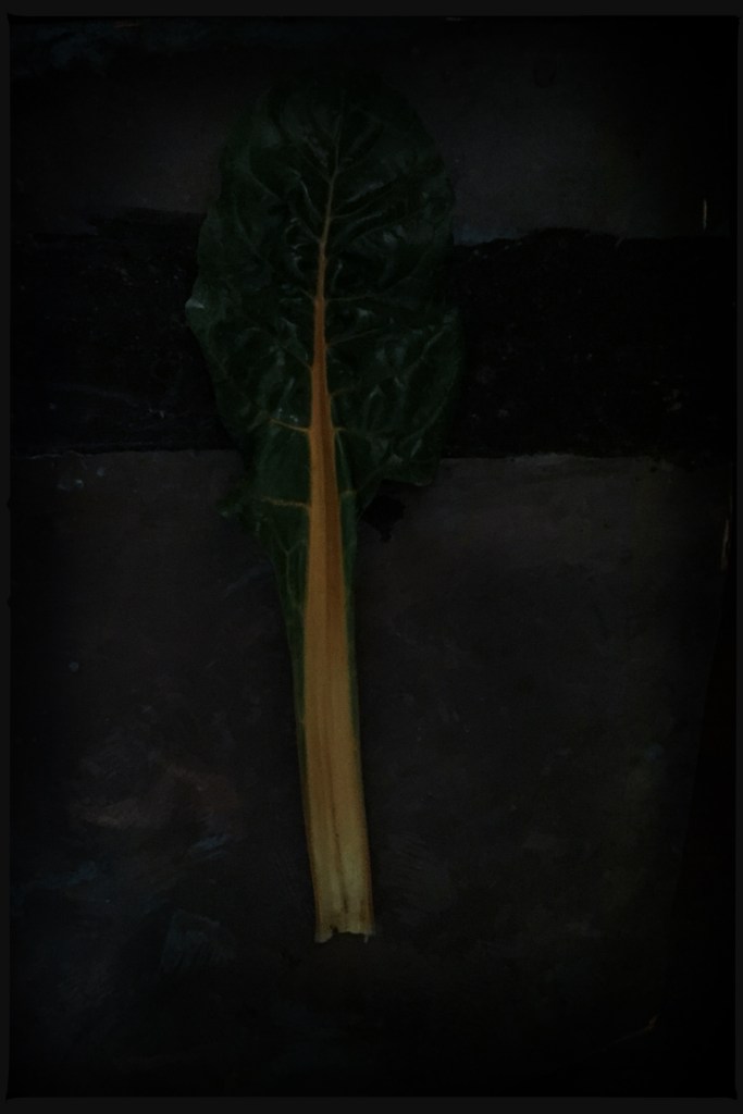 still life, liana solis, milano, food photographer, fotografo gastronomico