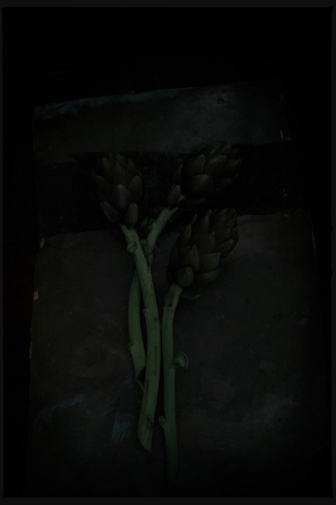 still life, liana solis, milano, food photographer, fotografo gastronomico