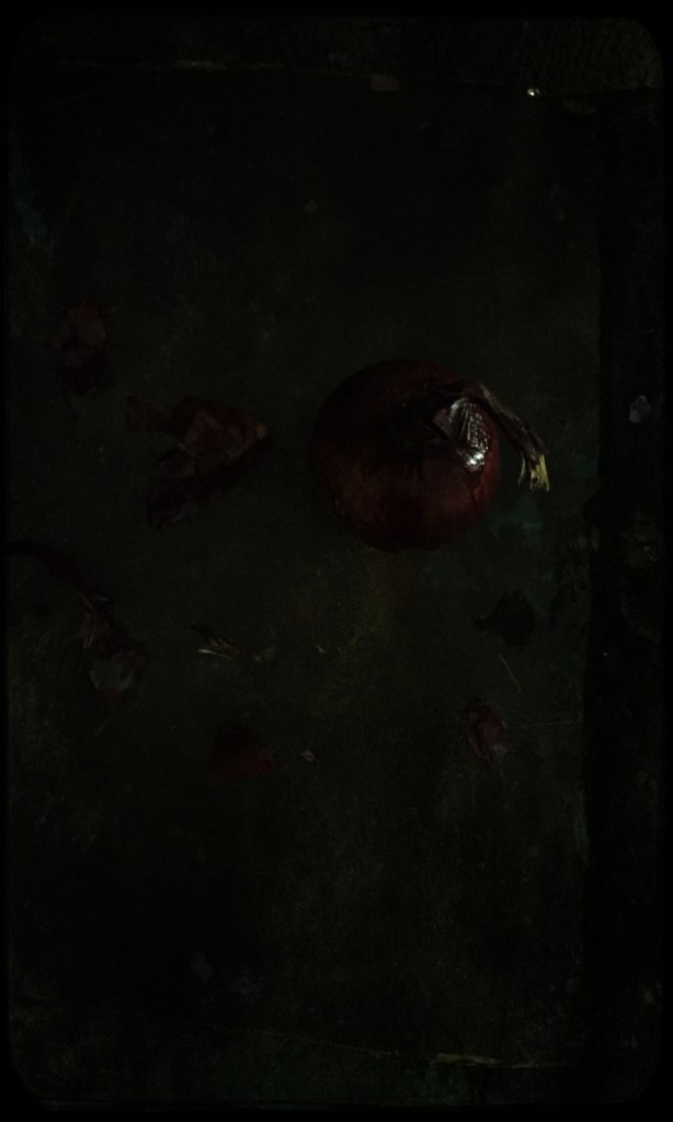 still life, liana solis, milano, food photographer, fotografo gastronomico, cebolla