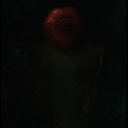 Still life dark