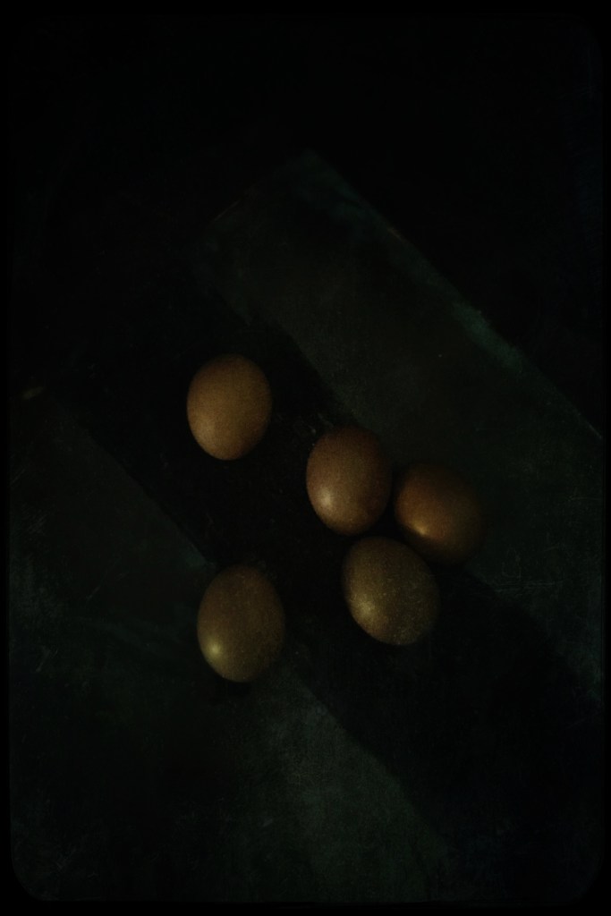 still life, liana solis, milano, food photographer, fotografo gastronomico, huevos