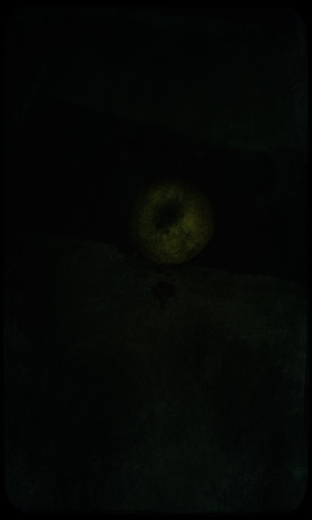 still life, liana solis, milano, food photographer, fotografo gastronomico, manzana