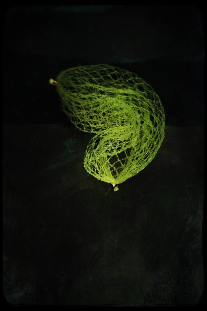 still life, liana solis, milano, food photographer, fotografo gastronomico