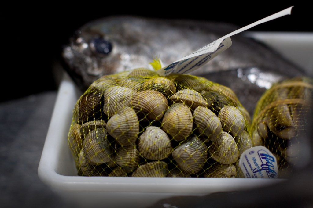 berberechos- @lianasolis