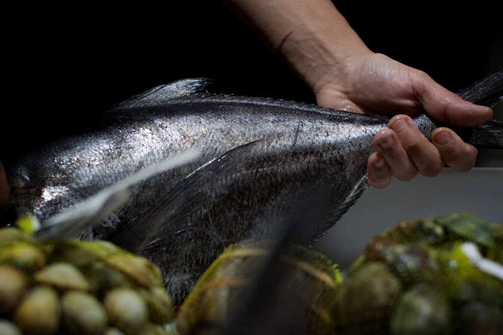 manos con pescado a Horta do obradoiro - @lianasolis
