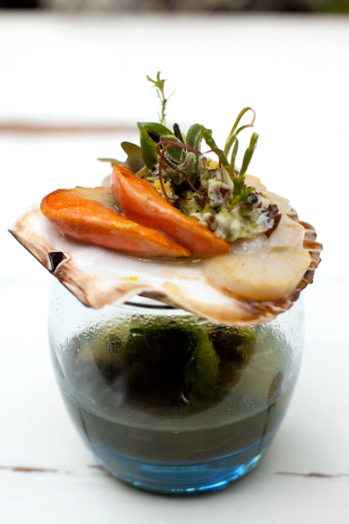 vieira - Ahorta do obradoiro- @lianasolis