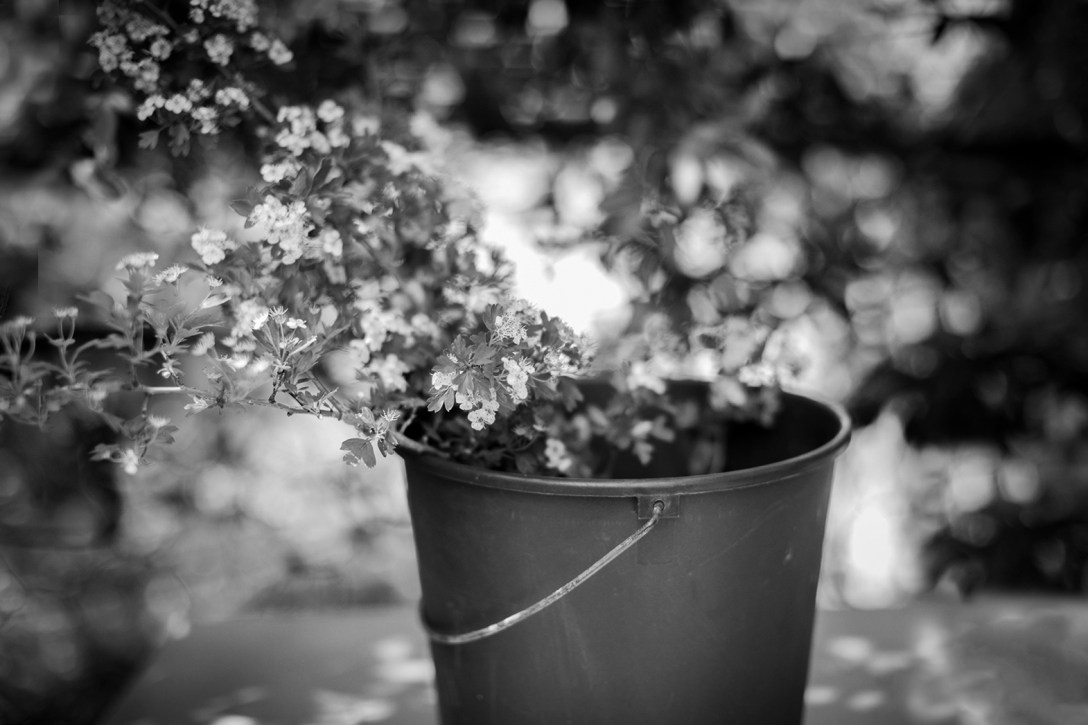 Maria Solivellas, Ca na Toneta, Liana Solis, Food photographer